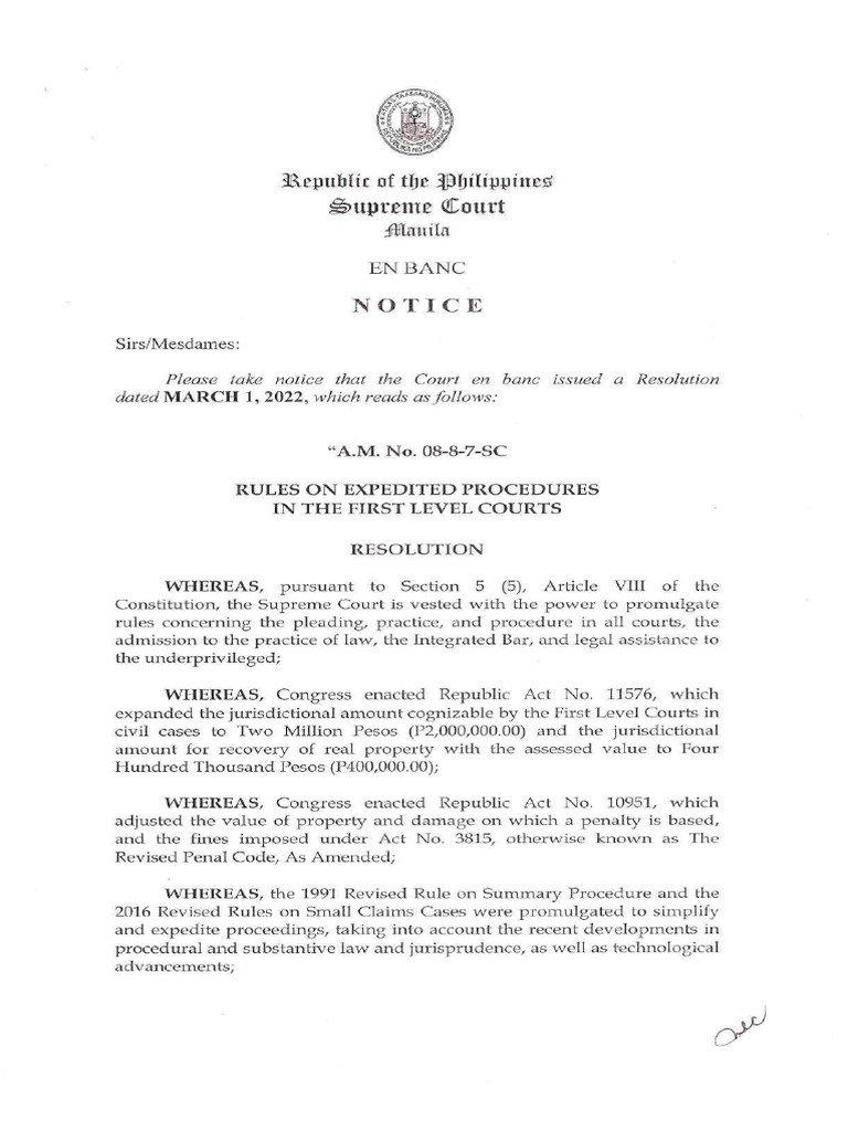 Rules On Expedited Procedures PDF Affidavit Plea