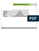 Scaffold Weekly Report