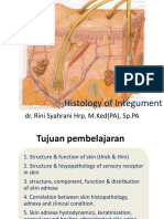 Histology of Integument: Structure and Function of Skin and Its Appendages