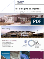 PDF Hidrogeno Argentina - Compress
