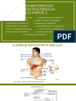 Sistem Pencernaan