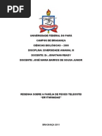 Família Erythrinidae resumo