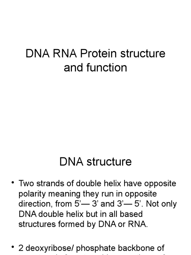 DNA Presentation Structural | PDF | Rna | Dna