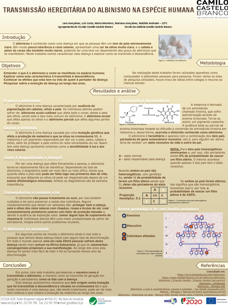 OftalmoCasesBR (@oftalmocasesbr) • Instagram photos and videos, image size:768x1024