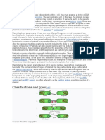 Classifications and Types: Origin of Replication Replicon Iterons Dnaa