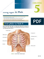 Khám Phổi - Bản Việt