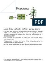 Totipotency 1