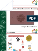 III Trimestre Aula 19 Biologia Divisão Celular 9º Ano Prof Talita Sousa