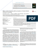 What a waste! Assessing public perceptions of Carbon Dioxide Ultilisation technology