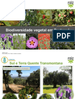 Re82115 Cv5 Biodiversidade Vegetal Portugal