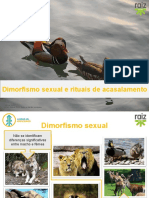 Re82115 Cv5 Dimorfismo Sexual Rituais Acasalamento