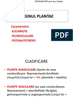 11.RENUL PLANTAE CLS A IX A