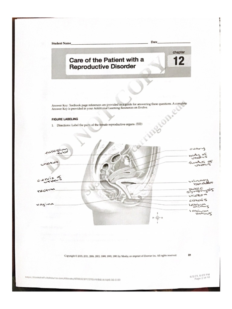 Chapter 12 | PDF