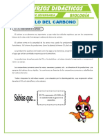 Ciclo Del Carbono para Primero de Secundaria