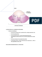 Hiperprolactinemia