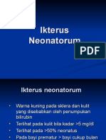 Ikterus Neonatorumppt