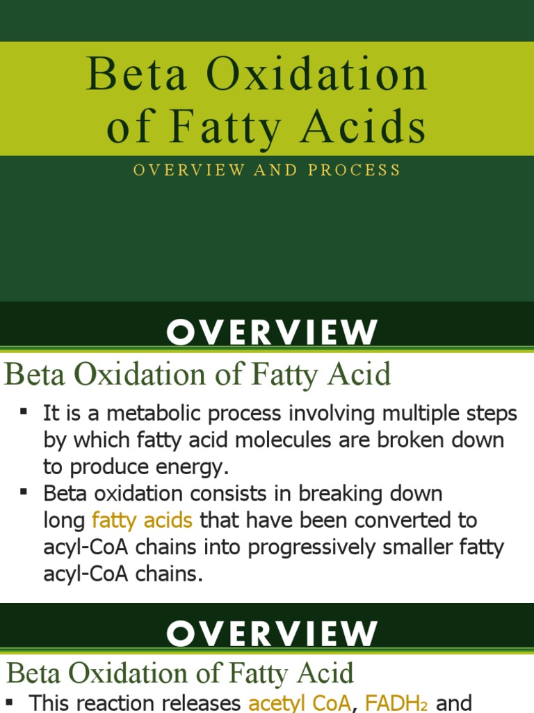 Steps of Fatty Acid Beta Oxidation | PDF | Adenosine Triphosphate | Biology