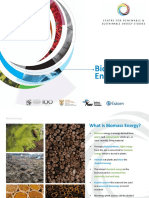 Biomass Energy Sources and Conversion Technologies