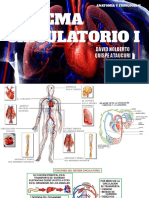 2.sistema Circulatorio I - Thomas Unger - David Quispe Ataucuri