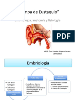 Trompa de Eustaquio: Embriología, anatomía y fisiología