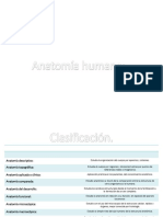 Generalidades de Anatomía.