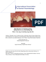 IADT Guidelines Vietnamese Fractures Permanent Teeth 8 2017 29