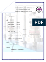 Informe No.8 de Suelos