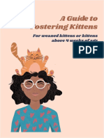Bangalore Cat Squad Foster Manual - 2021 - Evolving Version