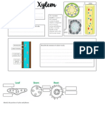 Xylem - Support Sheet