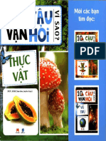 10VanCauHoiViSaoThucVat Duc Anh