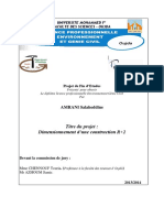 Projet de Fin DEtudes AMRANI Salaheddine