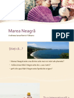 Marea Neagra