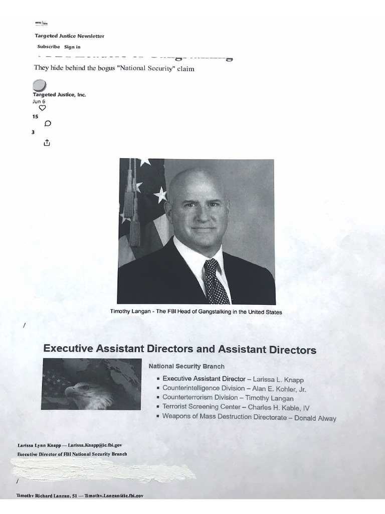 FBI Gangstalking - Targeted Justice Newsletter | PDF