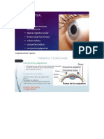 Oftalmologia Síndrome de ojo seco