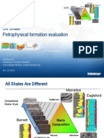 Oil Shale Petrophysical Formation Evaluation