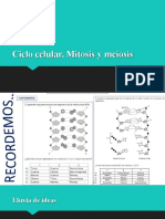 Ciclo Celular, Mitosis y Meiosis