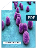 Microbiología Estafilococos