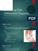 Lower Leg Pain Differential Diagnosis - Other