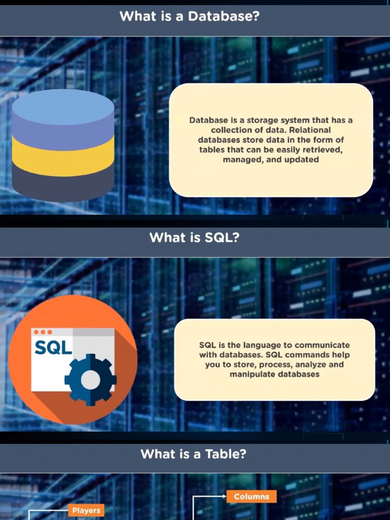 SQL Important PPT | PDF