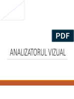 Analizator Vizual