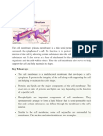 Cell Membrane