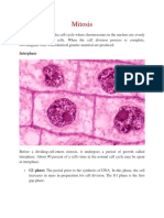 Mitosis