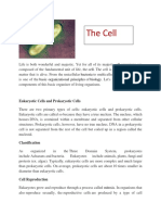 The Cell: Cell Bacteria Basic Organizational Principles Biology