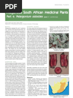 Pelargonium Sidoides SA 4