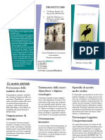 Brochure Pettorano