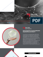 Brochure Falcon Networks