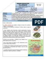 Las células eucariotas: estructura y función