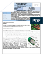 SEMANA 7 9no Semana 2