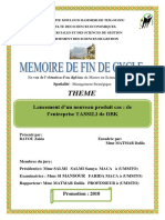 Mémoire Final