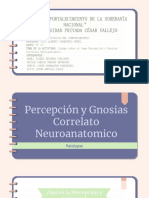 Diapositivas de La Percepcion